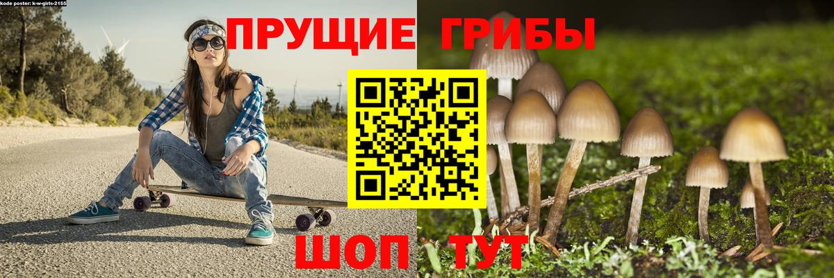 Псилоцибиновые грибы мицелий Россошь