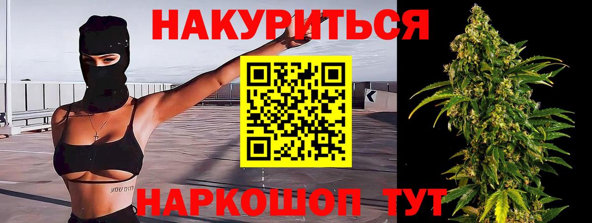 Канабис сатива Россошь